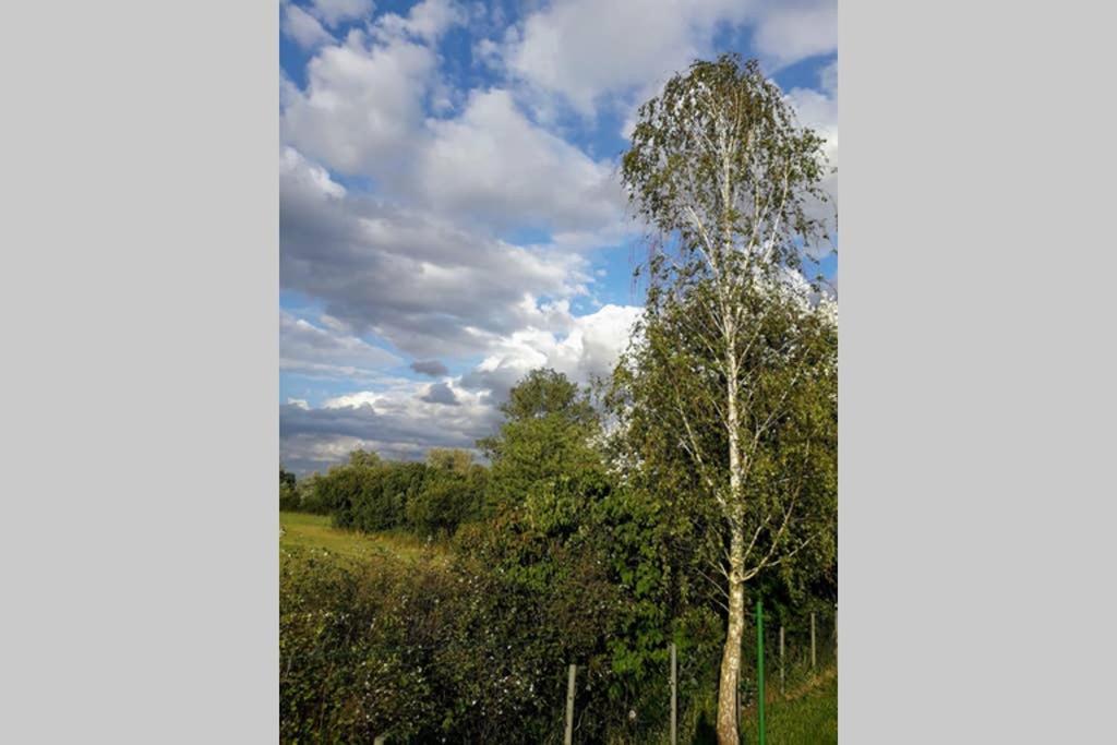 Entspannen Im Dorf Am See Zahren ภายนอก รูปภาพ