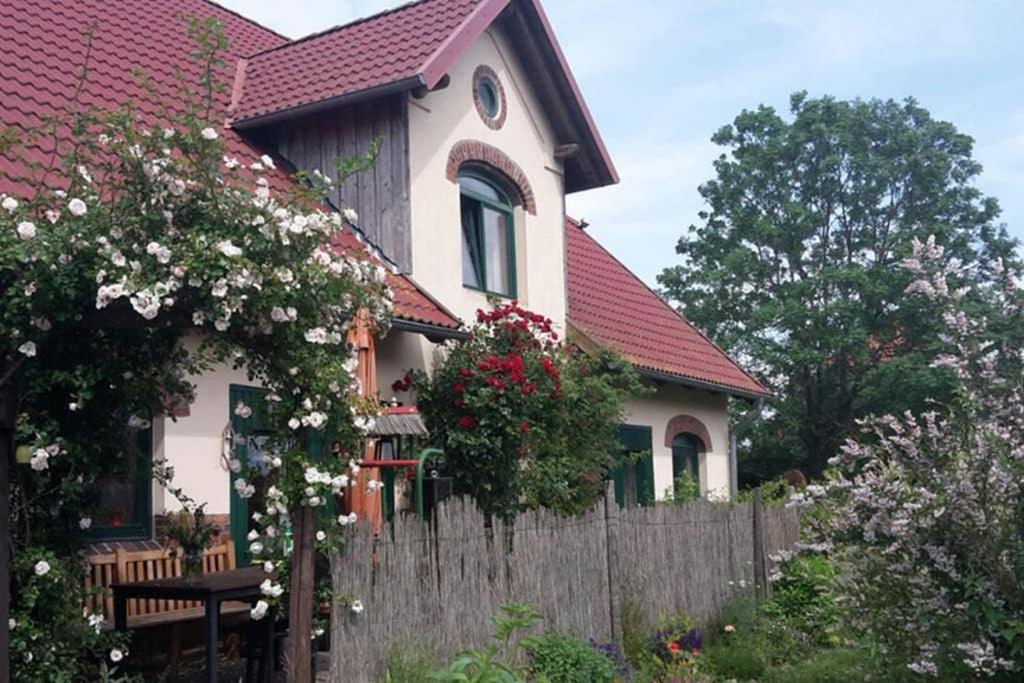 Entspannen Im Dorf Am See Zahren ภายนอก รูปภาพ